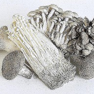 Мушрум Оптимайзер (Смесь из 7 видов грибов)