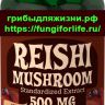 Рейши Экстракт 500 мг, 100 капсул быстрого действия (Ganoderma lucidum)