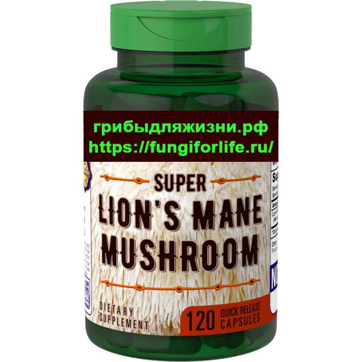 Ежевик Гребенчатый (Супер) 2100 мг 120 капсул (Hericium erinaceus / Lion’s Mane). 4 900 руб. Звоните сейчас +7 911 928-13-66