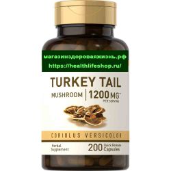 Траметес Разноцветный 1200 мг № 200 капсул (Turkey Tail)